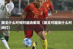 国足什么时候对越南解禁（国足对越南什么时间打）