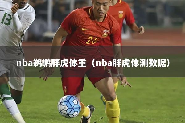 nba鹈鹕胖虎体重(nba胖虎体测数据)