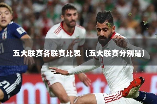 五大联赛各联赛比表(五大联赛分别是)