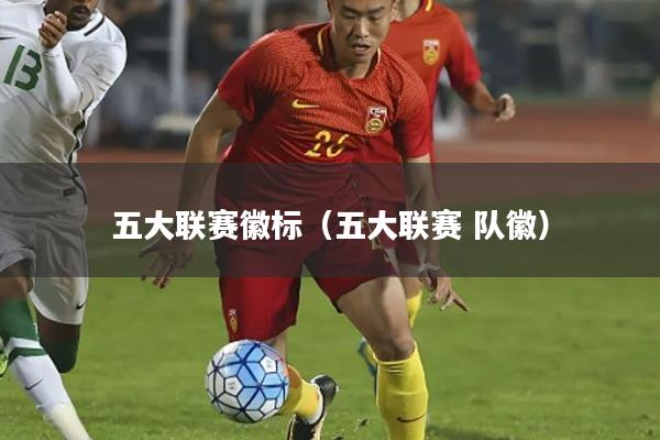 五大联赛徽标(五大联赛 队徽)