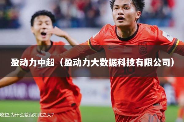 盈动力中超(盈动力大数据科技有限公司)
